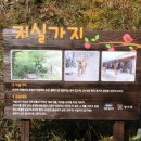 장안산 마실길 이미지