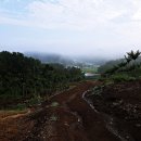 오미2동 이미지