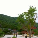 장흥군 보림사 Daum카페