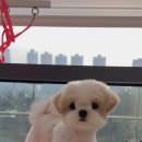 쓰리빈 이미지