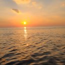 동해바다문어낚시 이미지