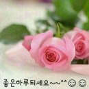 향기 Daum카페