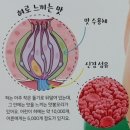 하얼빈마라탕 - 중구 유곡로 19 | 하얼빈마라탕
