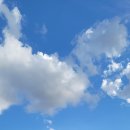 흐르는 강물을 바라 | 축제 끝물인데... 가도 될까?&#34; 늦가을, 망설임 끝에 만난 최고의 하루 (계양아라온 가을꽃 국화축제 후기)