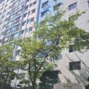 맨션13 이미지
