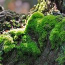 대우행정사 이미지