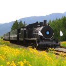 곡성-122 이미지