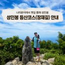 울릉도 산들바다 | 나리분지에서 오르는 울릉도 성인봉 등산코스 장재길!