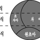 프로이트의 발달 단계에 따른 성격 특성 이미지