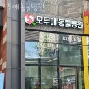 모두애동물병원 이미지