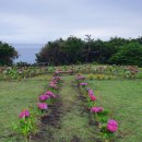 남원읍-6 이미지