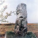 청도경로당 | 四字成語 총정리 <ㄷ> 393 동산정사~동상억제층
