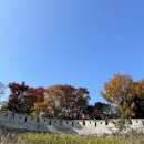 [서울 연탄 봉사] 밥상공동체연탄은행 개인봉사 후기 (11월 개인봉사자의 날)