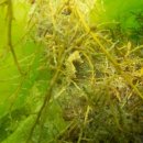 남해-295 이미지