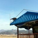 동진오토바이 - 예산군 형제고개로 954 | 동진오토바이