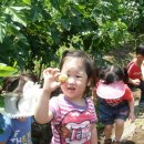 옥성농장 이미지