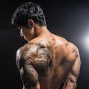 베어짐(BEAR GYM) 이미지