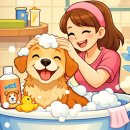 댕댕이를 부탁해 이미지