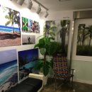 자메이카 코인 노래연습장 이미지