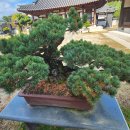 삼영중공업(주) 이미지