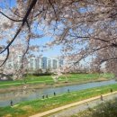 안양천 수질정화시설 공중화장실 | 안양천 벚꽃길 생태공원 단풍길