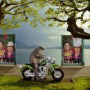 비둘기공원 이미지