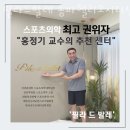 필라드발레송파