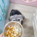 오구오구 치킨 네이버블로그
