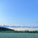 한산농장 이미지