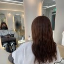 헤어리움(HAIR RIUM)