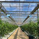 케이에스팜 이미지