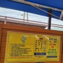 둘리왕새우