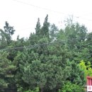 황토랑민박 | 강원도 정선