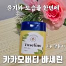 보습과 윤기를 한 번에! 카카오버터가 들어간 더블유제약 바세린 사용 후기