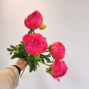 (주)리틀바이리틀 이미지