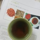 식물하나담다 이미지