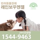 이천 여주 안성 양평 가평 춘천 강아지장례의 올바른 선택 방법은? 반려동물장례[애견장례식장 레인보우...