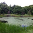 동백동산 이미지