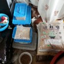 [정보] 야스의 용토 창고(용토 구입처 후기)