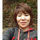한미 인셀덤