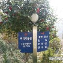 자굴산치유수목원 이미지