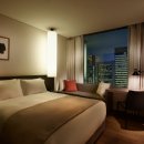 스테이 봄 이미지