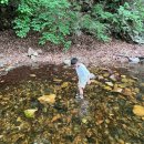 피자마을 밀양펜션 이미지