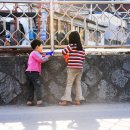 단계초등학교 이미지