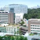 보라매