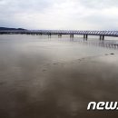 낙동강관리본부 대저생태공원 5 이미지