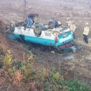 부상농장 이미지