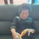 세포경로당 이미지