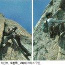 그루터기 이미지