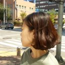 아리따운피부 이미지